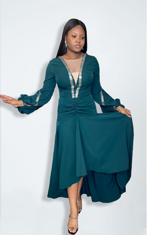 Polished Muse dress